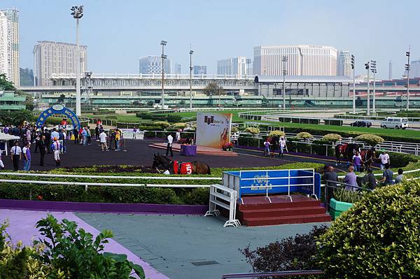 DSC02708.JPG DSC02708.JPG